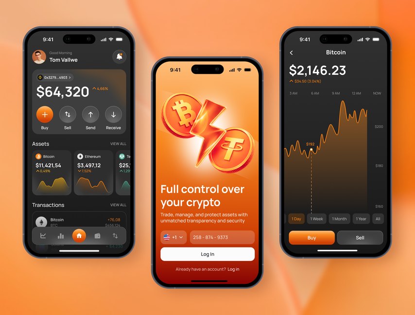 Crypto wallet app concept